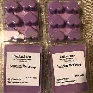Candle wax melts